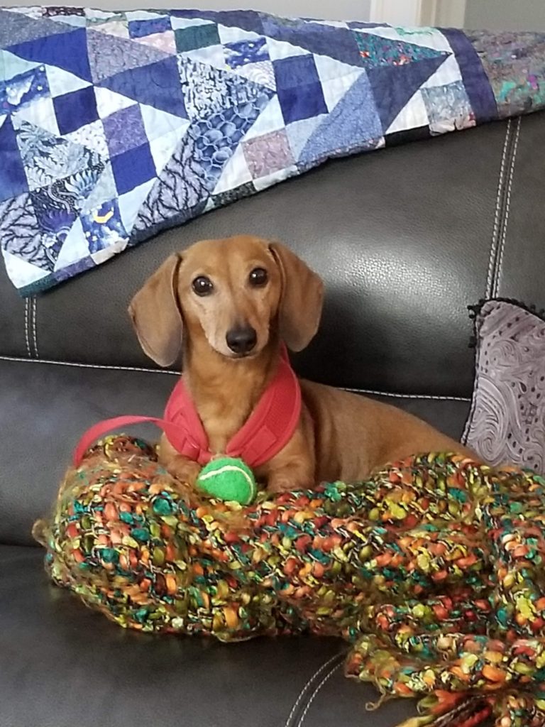 three anal doxies playing with big toys