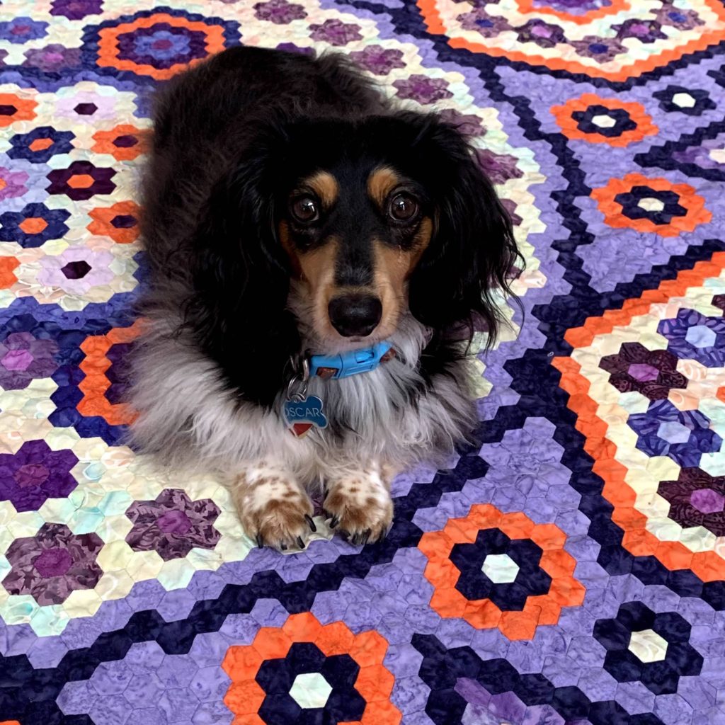 Intricate hand made quilt top with adorable dog posing. 