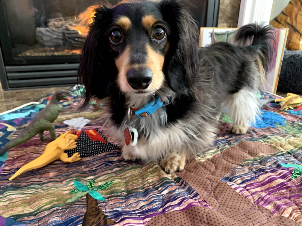 Small dog recreates epoch ending calamity with dinosaurs. 