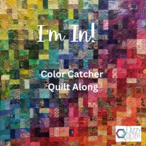 color catcher quilt along